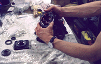 click for full sized image